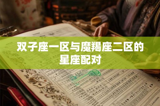 双子座一区与魔羯座二区的星座配对