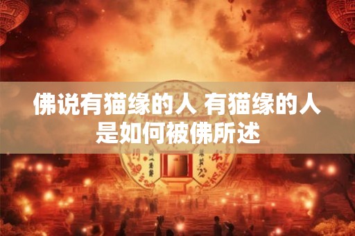 佛说有猫缘的人 有猫缘的人是如何被佛所述