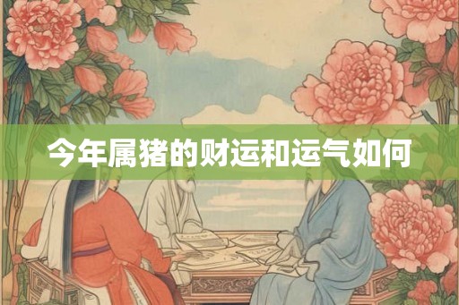 今年属猪的财运和运气如何