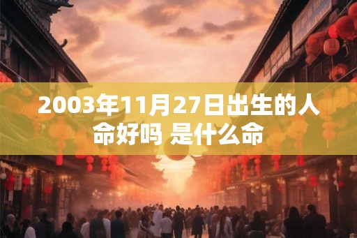 2003年11月27日出生的人命好吗 是什么命