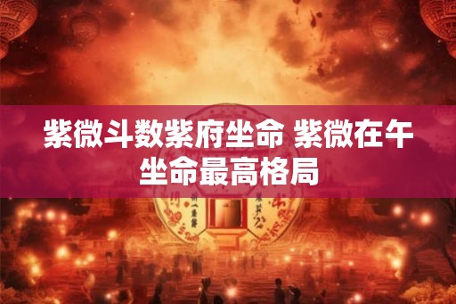紫微斗数紫府坐命 紫微在午坐命最高格局