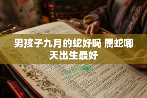 男孩子九月的蛇好吗 属蛇哪天出生最好 男孩子九月的蛇好吗 属蛇哪天出生最好