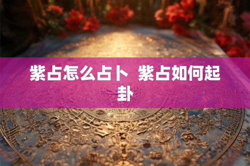 紫占怎么占卜  紫占如何起卦