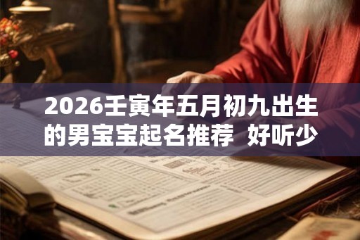 2026壬寅年五月初九出生的男宝宝起名推荐  好听少见的名字