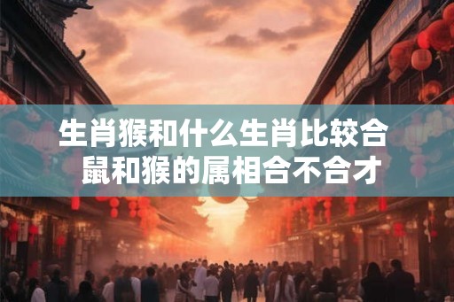 生肖猴和什么生肖比较合  鼠和猴的属相合不合才