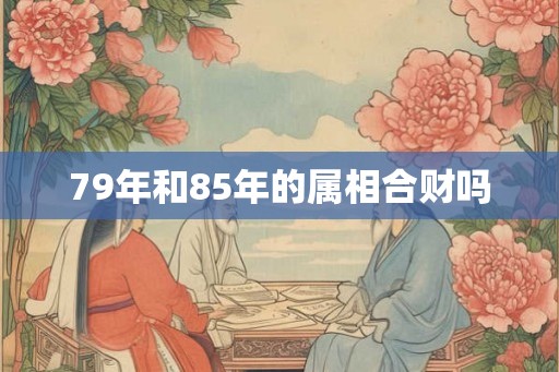 79年和85年的属相合财吗