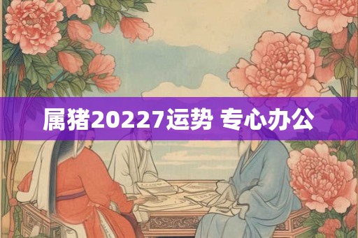 属猪20227运势 专心办公