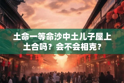 土命一等命沙中土儿子屋上土合吗？会不会相克？