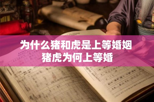为什么猪和虎是上等婚姻 猪虎为何上等婚
