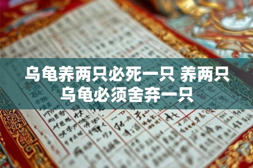 乌龟养两只必死一只 养两只乌龟必须舍弃一只