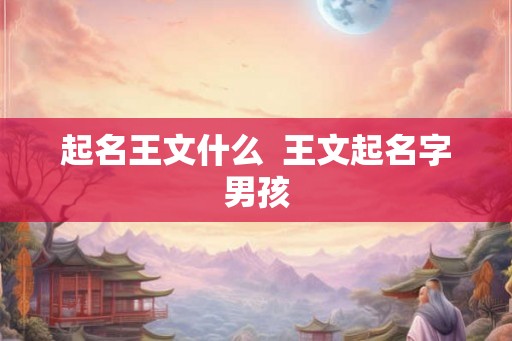 起名王文什么  王文起名字男孩