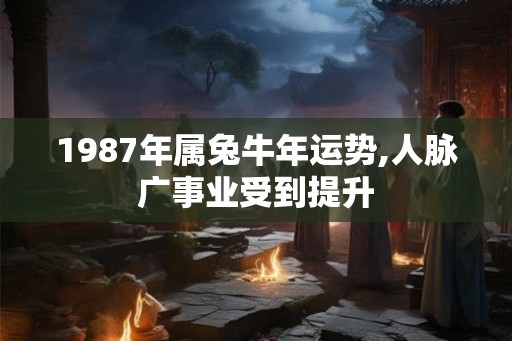 1987年属兔牛年运势,人脉广事业受到提升