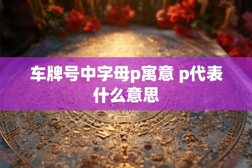 车牌号中字母p寓意 p代表什么意思