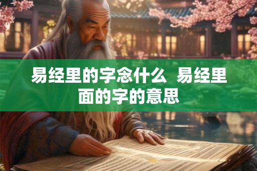 易经里的字念什么  易经里面的字的意思