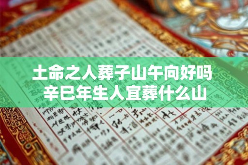 土命之人葬子山午向好吗 辛巳年生人宜葬什么山 土命之人葬子山午向好吗 辛巳年生人宜葬什么山