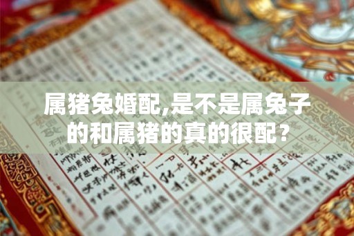 属猪兔婚配,是不是属兔子的和属猪的真的很配？