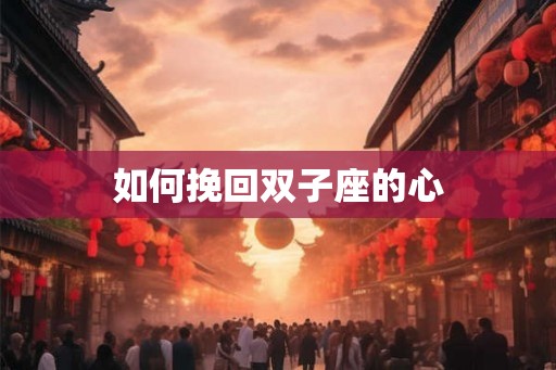 如何挽回双子座的心