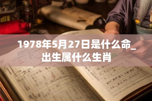 1978年5月27日是什么命_出生属什么生肖