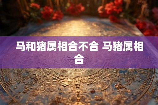 马和猪属相合不合 马猪属相合