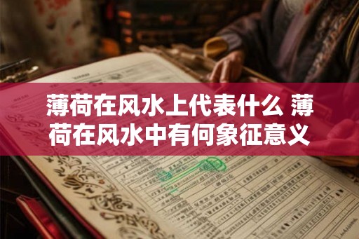 薄荷在风水上代表什么 薄荷在风水中有何象征意义