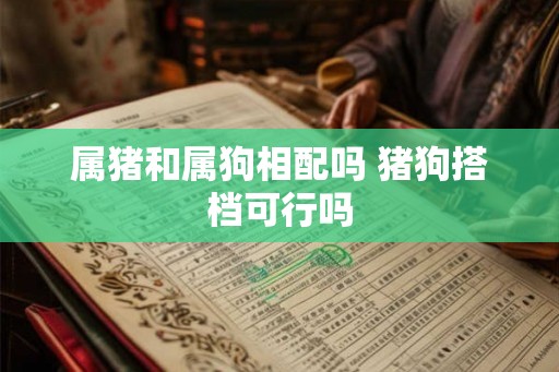 属猪和属狗相配吗 猪狗搭档可行吗