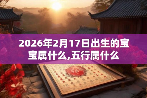 2026年2月17日出生的宝宝属什么,五行属什么