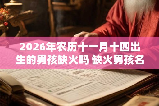 2026年农历十一月十四出生的男孩缺火吗 缺火男孩名字用的字 2026年农历十一月十四出生的男孩缺火吗 缺火男孩名字用的字