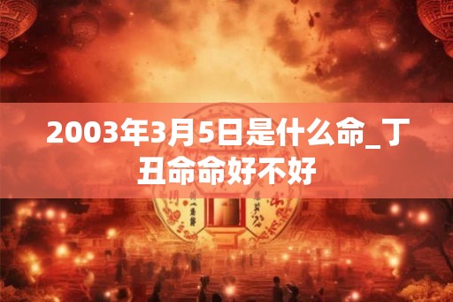 2003年3月5日是什么命_丁丑命命好不好