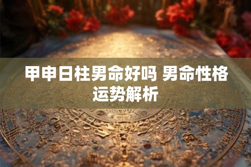 甲申日柱男命好吗 男命性格运势解析