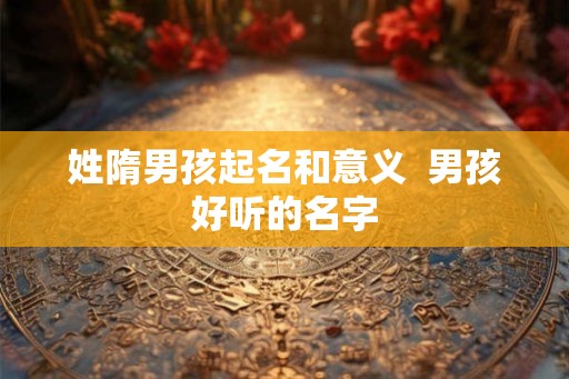 姓隋男孩起名和意义  男孩好听的名字