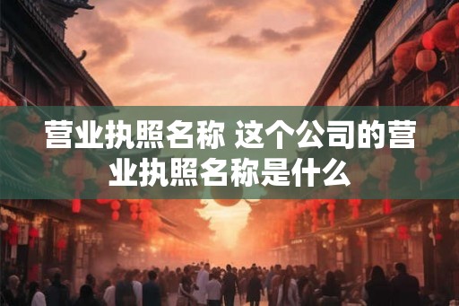 营业执照名称 这个公司的营业执照名称是什么