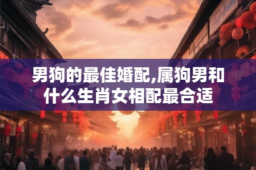 男狗的最佳婚配,属狗男和什么生肖女相配最合适