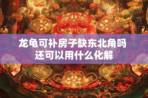 龙龟可补房子缺东北角吗 还可以用什么化解