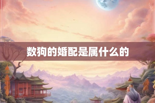数狗的婚配是属什么的 数狗的婚配是属什么的
