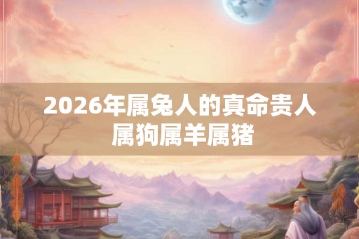 2026年属兔人的真命贵人 属狗属羊属猪