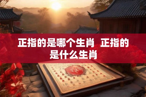 正指的是哪个生肖  正指的是什么生肖