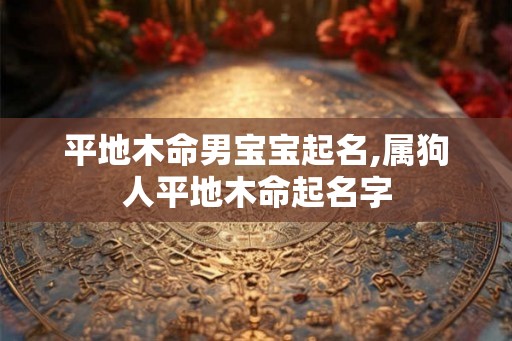 平地木命男宝宝起名,属狗人平地木命起名字