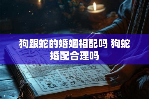 狗跟蛇的婚姻相配吗 狗蛇婚配合理吗