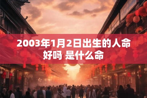 2003年1月2日出生的人命好吗 是什么命