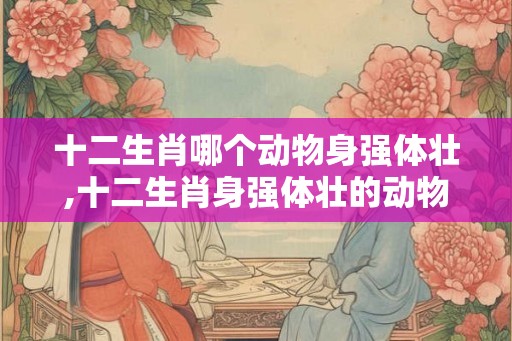 十二生肖哪个动物身强体壮,十二生肖身强体壮的动物