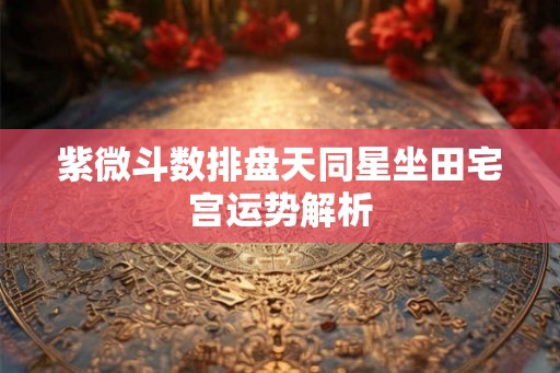 紫微斗数排盘天同星坐田宅宫运势解析