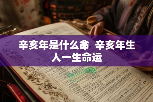 辛亥年是什么命  辛亥年生人一生命运