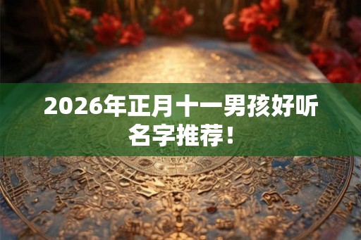 2026年正月十一男孩好听名字推荐！