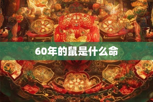 60年的鼠是什么命