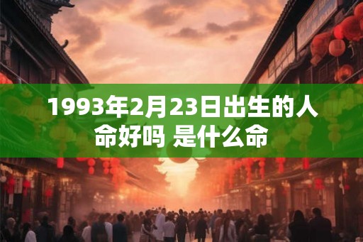 1993年2月23日出生的人命好吗 是什么命