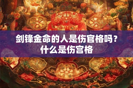 剑锋金命的人是伤官格吗？什么是伤宫格