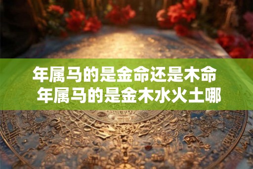 年属马的是金命还是木命  年属马的是金木水火土哪个命