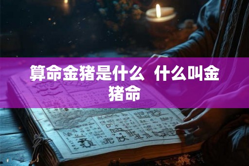 算命金猪是什么  什么叫金猪命