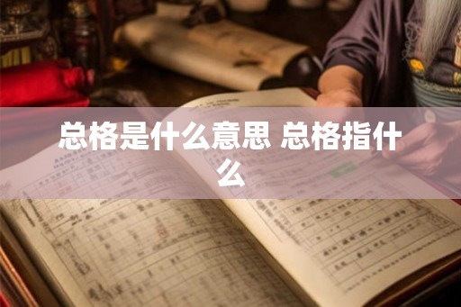 总格是什么意思 总格指什么