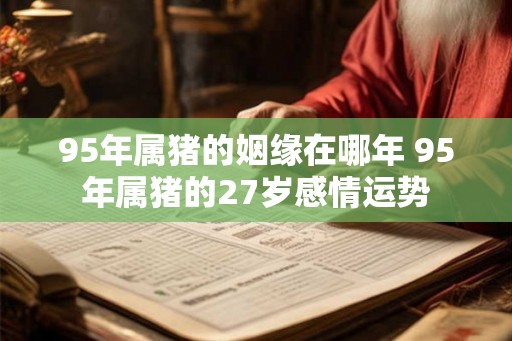 95年属猪的姻缘在哪年 95年属猪的27岁感情运势